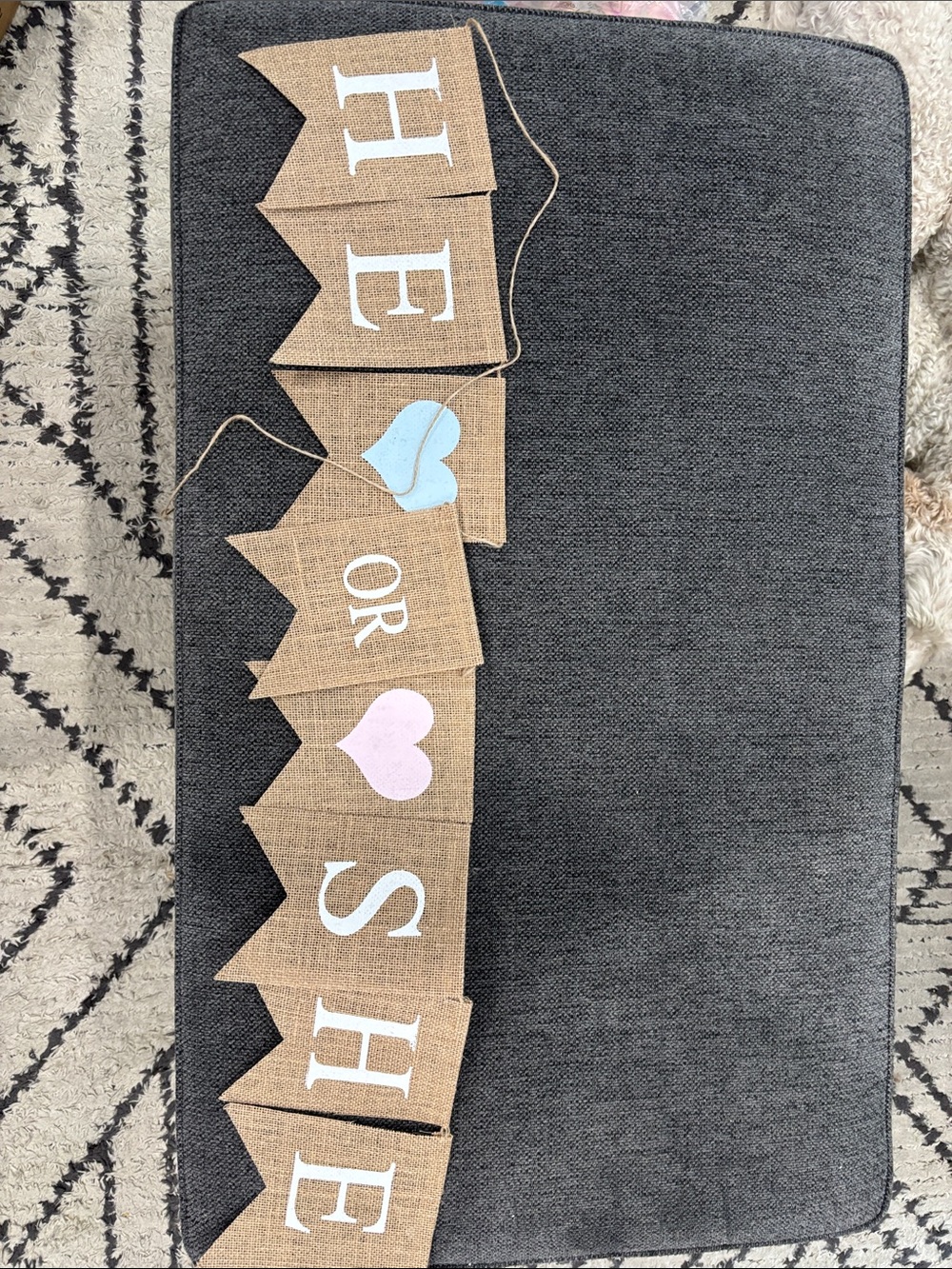 He or She Banner